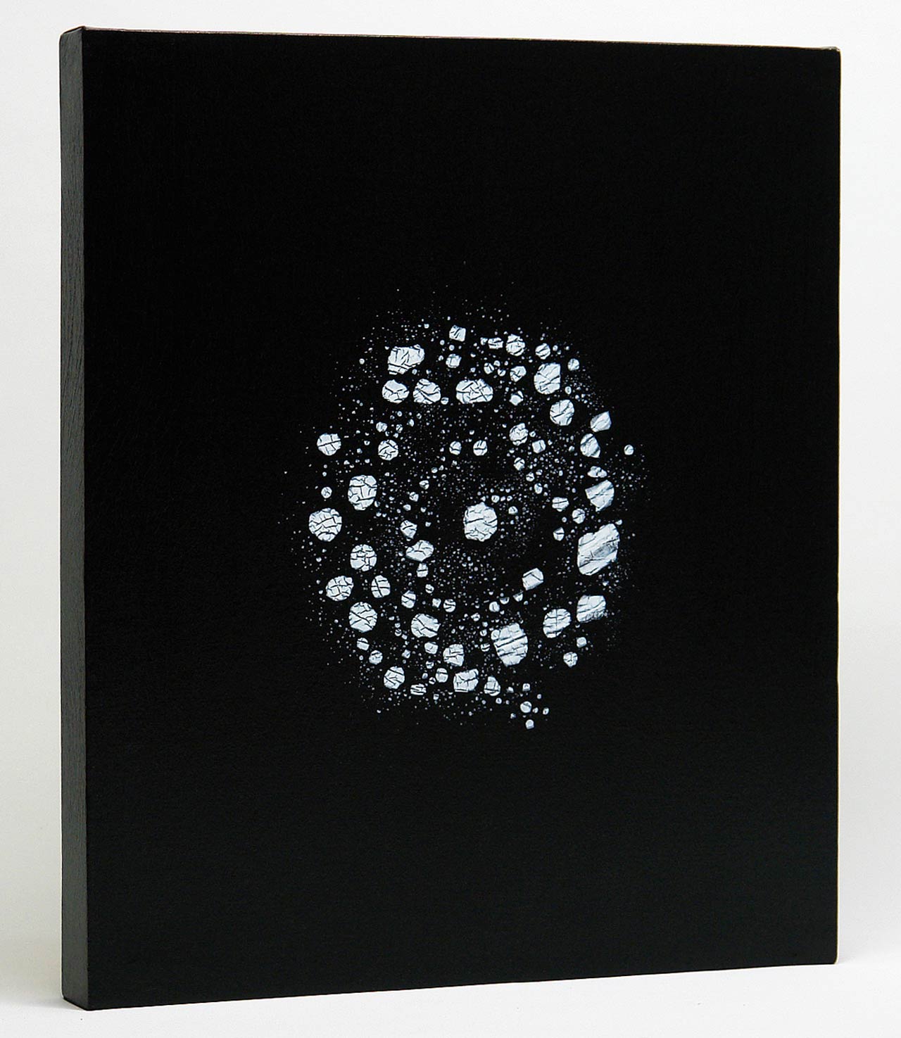 Unique black and white paintings by the swiss artist Stefan Pluess