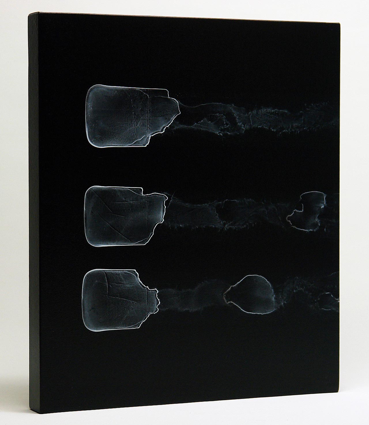 Unique black and white paintings by the swiss artist Stefan Pluess